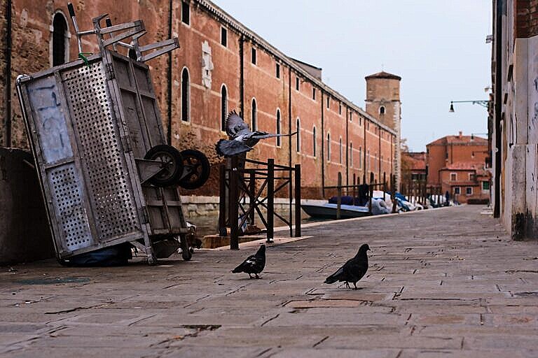 Fondamenta de la Tana with a garbage collection cart and birds,  and the Arsenale wall